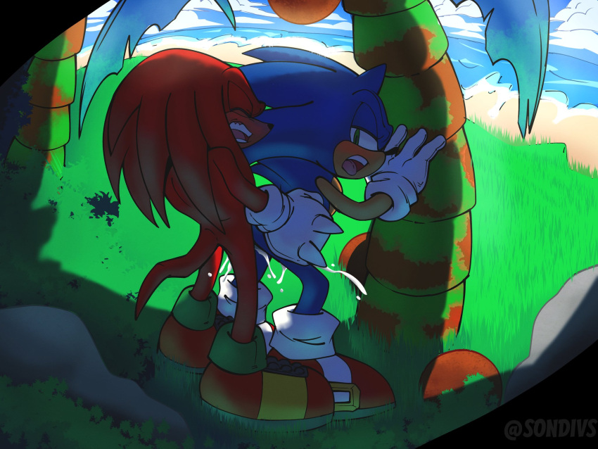 Knuckles The Echidna (Sega) Rule 34 Image