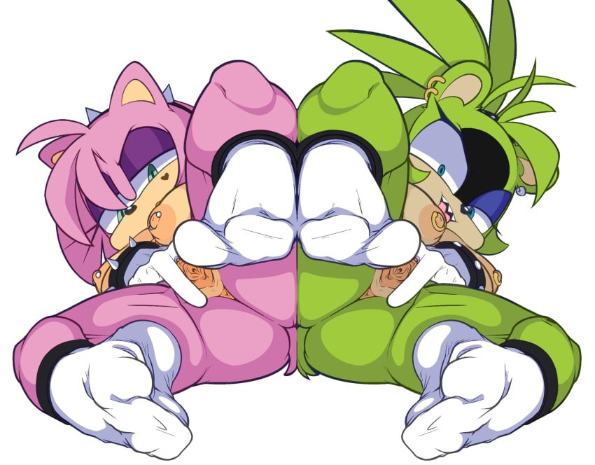 Amy Rose (Idw Publishing) Rule 34 Image