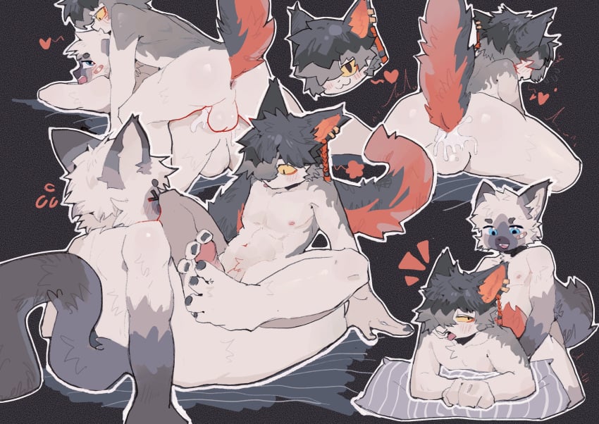 Aak (Arknights) Rule 34 Image