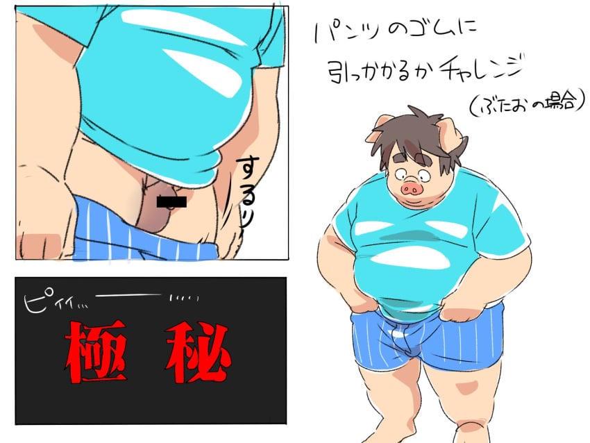 2025 4:3 anthro balls censored clothing domestic_pig duo genitals hi_res inunoshippo japanese_text kemono male mammal micropenis overweight overweight_male penis shirt small_penis solo suid suine sus_(pig) text topwear underwear undressing