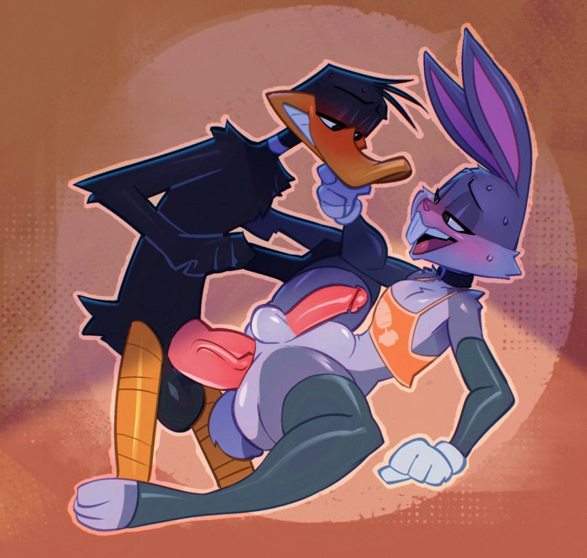 anal anal_sex anatid anseriform anthro avian balls bigdad biped bird black_body black_hair blush buckteeth bugs_bunny clothing daffy_duck duck duo erection femboy fur genitals grey_body grey_fur grey_hair grey_tail lagomorph leporid looney_tunes male male/male mammal multicolored_body orange_body penetration penile penile_penetration penis rabbit sex tail teeth warner_brothers