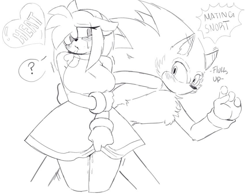 Sonic (Series) Rule 34 Image