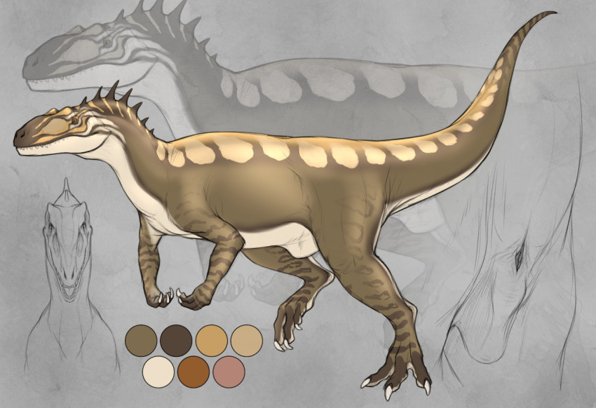 2017 allosaur allosaurus animal_genitalia brown_eyes brown_skin brown_stripes claws cloaca close-up color_swatch cutaway dinosaur female feral grey_background looking_at_viewer model_sheet multiple_angles open_mouth raised_tail side_view simple_background sketch solo spikes spots stripes teeth theropod white_skin white_spots yaroul