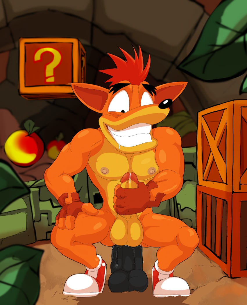 1boy ambiguous_fluids anal anal_masturbation anal_sex anthro balls bandicoot biceps black_dildo black_nose circumcised clothing crash_(series) crash_bandicoot crate crouching detailed detailed_background dildo dildo_sitting erection footwear front_view fur furry furry_only gay gloves grin hair hi_res humanoid_penis jerseydevil looking_down male male_only mammal marsupial masturbation mostly_nude muscular nipples pecs penetration penile_masturbation penis precum running_shoes sex_toy shoes smile solo teeth toying_self video_games wumpa_fruit yaoi