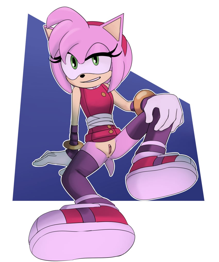 amy_rose anus female furry going_commando junopea no_panties pussy sega sonic_(series) sonic_boom