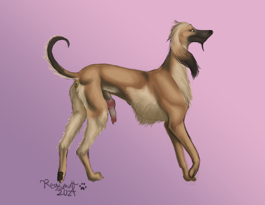 afghan_hound anal anal_sex anatomically_correct anatomically_correct_genitalia anatomically_correct_penis animal_genitalia animal_penis buttplug buttplug_in_ass buttplug_insertion canid canine canine_genitalia canine_penis canis countershading digital_media_(artwork) domestic_dog feral fur gem genitals hi_res hunting_dog knot male mammal object_in_ass penetration penis plug_(sex_toy) plug_insertion regsmutt sex_toy sex_toy_in_ass sex_toy_insertion sheath sighthound solo tan_body tan_fur