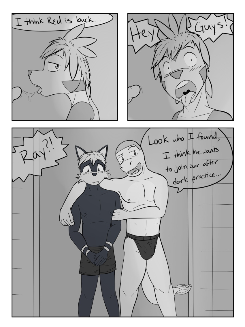 PokÉMon (Species) Rule 34 Image
