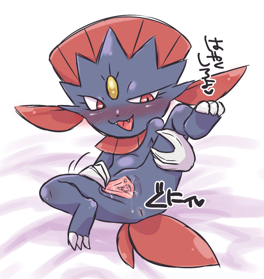 anus blush female feral hi_res japanese_text kiriya nintendo open_mouth pokemon pussy pussy_juice red_eyes simple_background solo spreading text video_games weavile