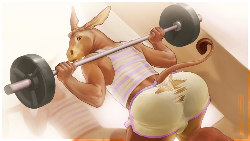 anhes anthro ass dempsey donkey equine male_only mammal pants shirt tank_top torn_clothes underwear weights