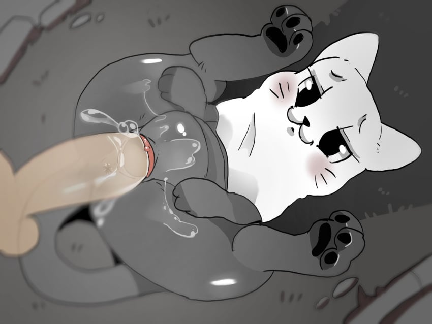 Ectokitty (Fatalafterdark) Rule 34 Image
