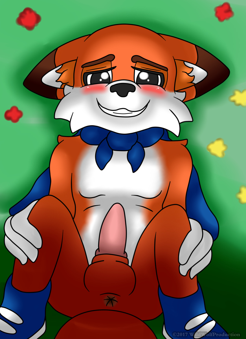 1boy anus blush canine cape clothing footwear fox furry lucky_swiftail male male_only mammal presenting shoes solo super_lucky's_tale tale video_games wildwolfproduction