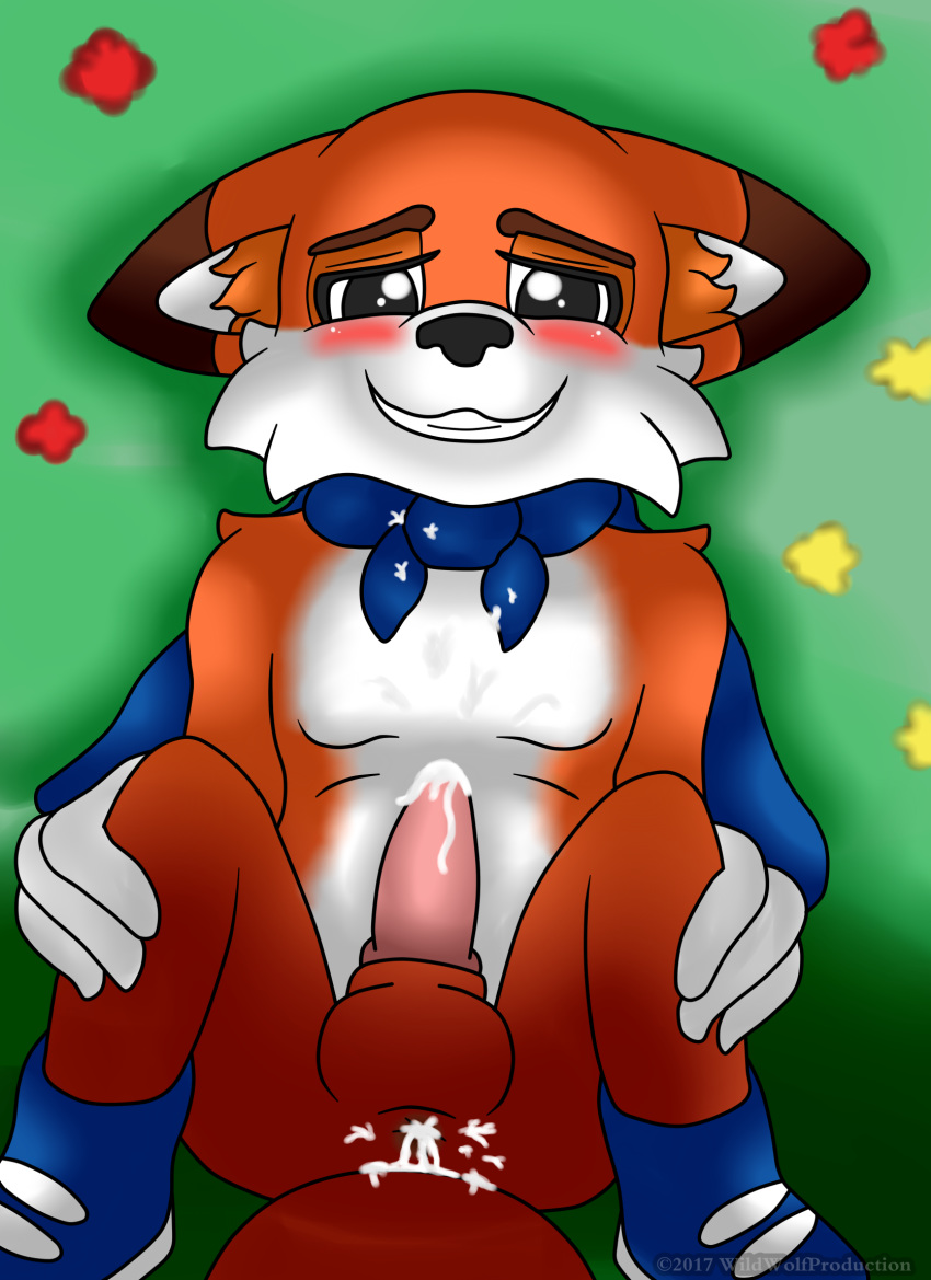 1boy after_sex anus blush canine cape clothing cum cum_in_ass cum_inside cum_on_penis footwear fox gay lucky_swiftail male male_only mammal penis presenting shoes solo super_lucky's_tale tale video_games wildwolfproduction