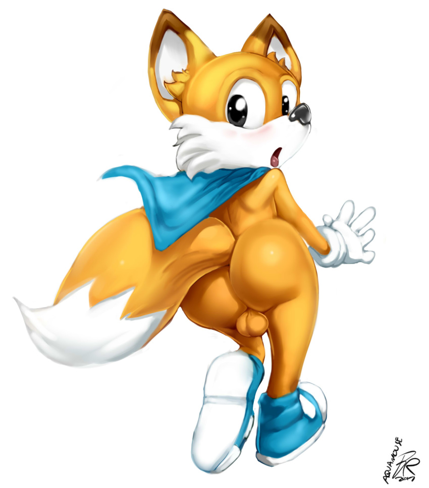 anthro ass backsack balls byondrage canine fox lucky_swiftail male male_only mammal solo super_lucky's_tale