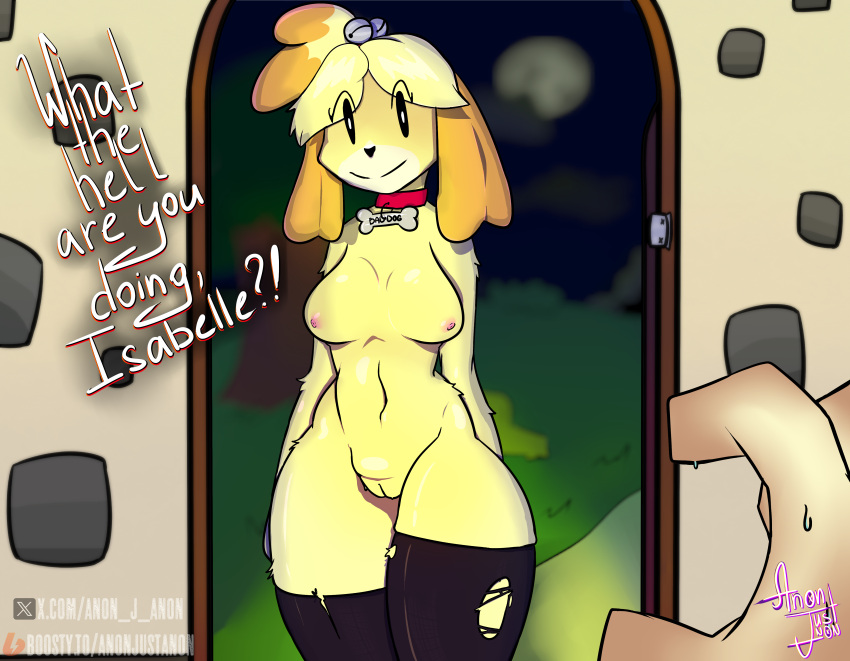 1boy 1boy1girl 1girls 2024 animal_crossing anonjustanon anthro aroused bell bells belly belly_button big_ass big_breasts black_eyes blurred_background breasts collar collar_tag collarbone detailed_background dog dog_ears english_text female female_focus huge_ass huge_thighs isabelle_(animal_crossing) looking_at_viewer nude ripped_stockings standing stockings tail text wagging_tail woman yellow_fur yellow_hair yellow_skin