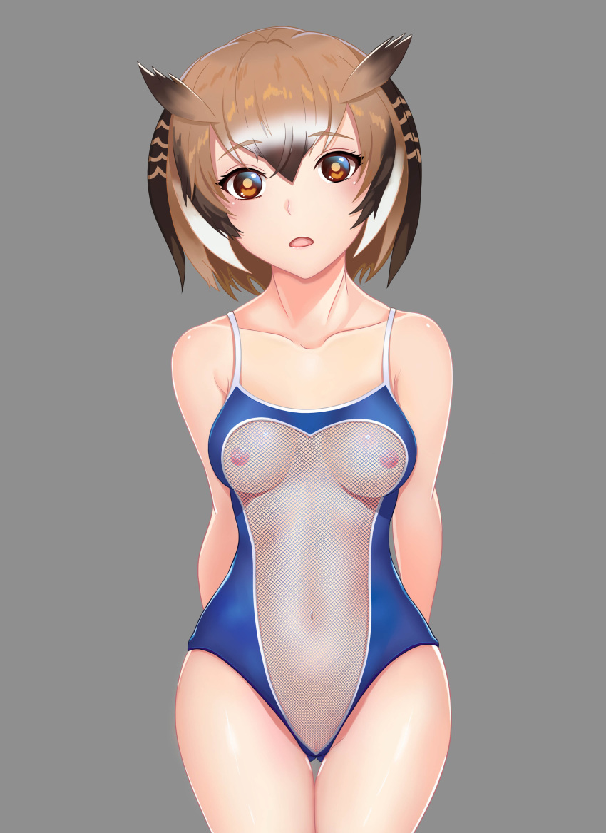 absurdres arms_behind_back bare_arms bare_shoulders blush breasts brown_hair collarbone cowboy_shot eurasian_eagle_owl_(kemono_friends) female fishnet_swimsuit grey_background highres hips kemono_friends looking_at_viewer meme_attire multicolored_hair navel nipples one-piece_swimsuit open_mouth pussy pussy_peek short_hair simple_background small_breasts solo standing stomach swimsuit thigh_gap white_hair yellow_eyes zhao_shixuan