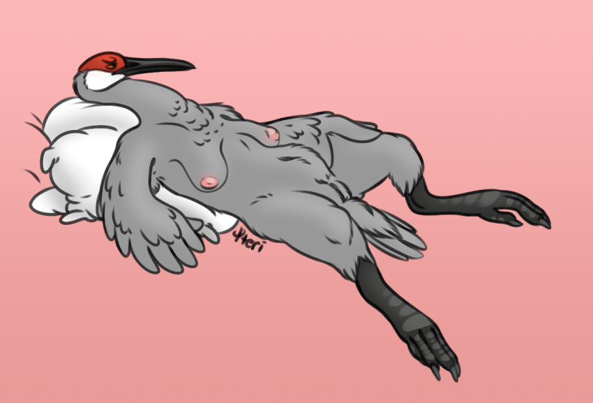 animal_humanoid antigone_(genus) avian avian_humanoid bird breasts crane_(bird) female gruiform humanoid pteri_(artist) pteri_(character) sandhill_crane