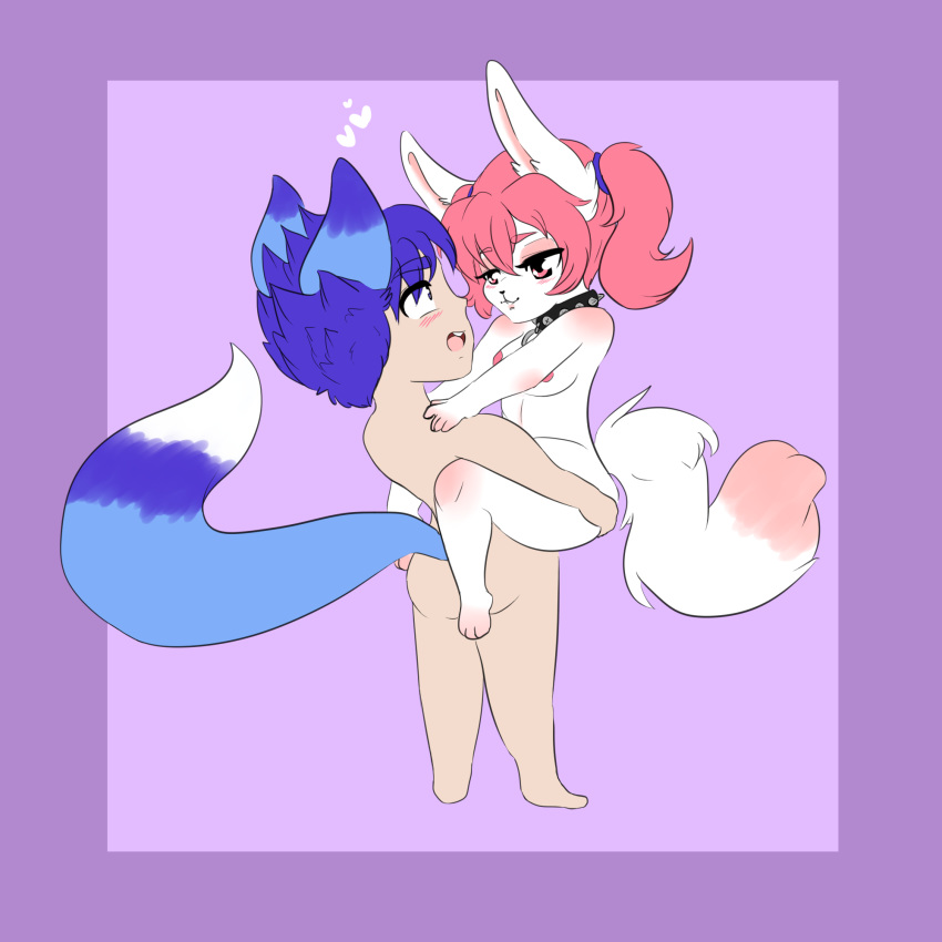 anthro blue_eyes blue_fur blue_hair blush breasts cabbit canine collar cornflower feline fennec fox fur furry hair humanoid hybrid lagomorph mammal nipples nude pink_fur pink_hair rabbit white_fur