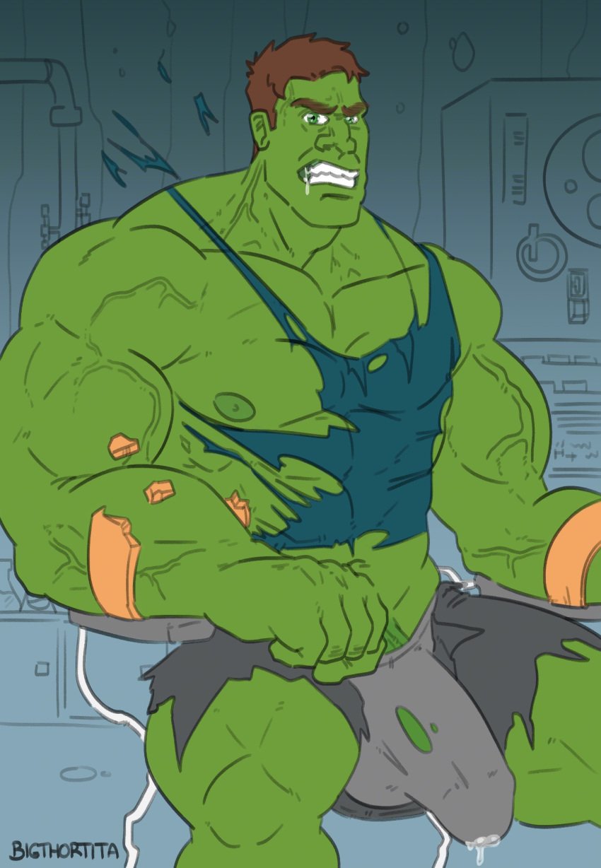 balls bara big_penis bigthortita boner bulge erection erection_under_clothes growth hulk hulk_(series) male male_only marvel muscle_growth muscles muscular penis ripped_clothing solo solo_male