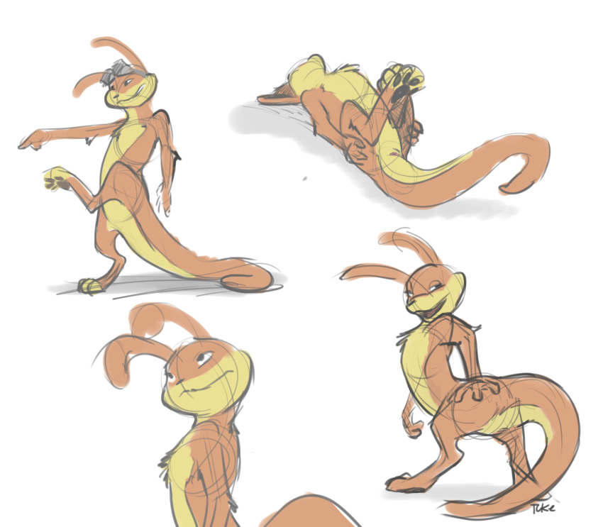 2016 4_toes animal_genitalia anthro anus brown_pawpads daxter eyewear goggles hi_res jak_and_daxter looking_back lying male male_only male_solo mammal multiple_poses mustelid nude on_back ottsel pawpads pose presenting rear_view simple_background sketch solo solo_male standing toeless_(marking) toes tuke video_games white_background