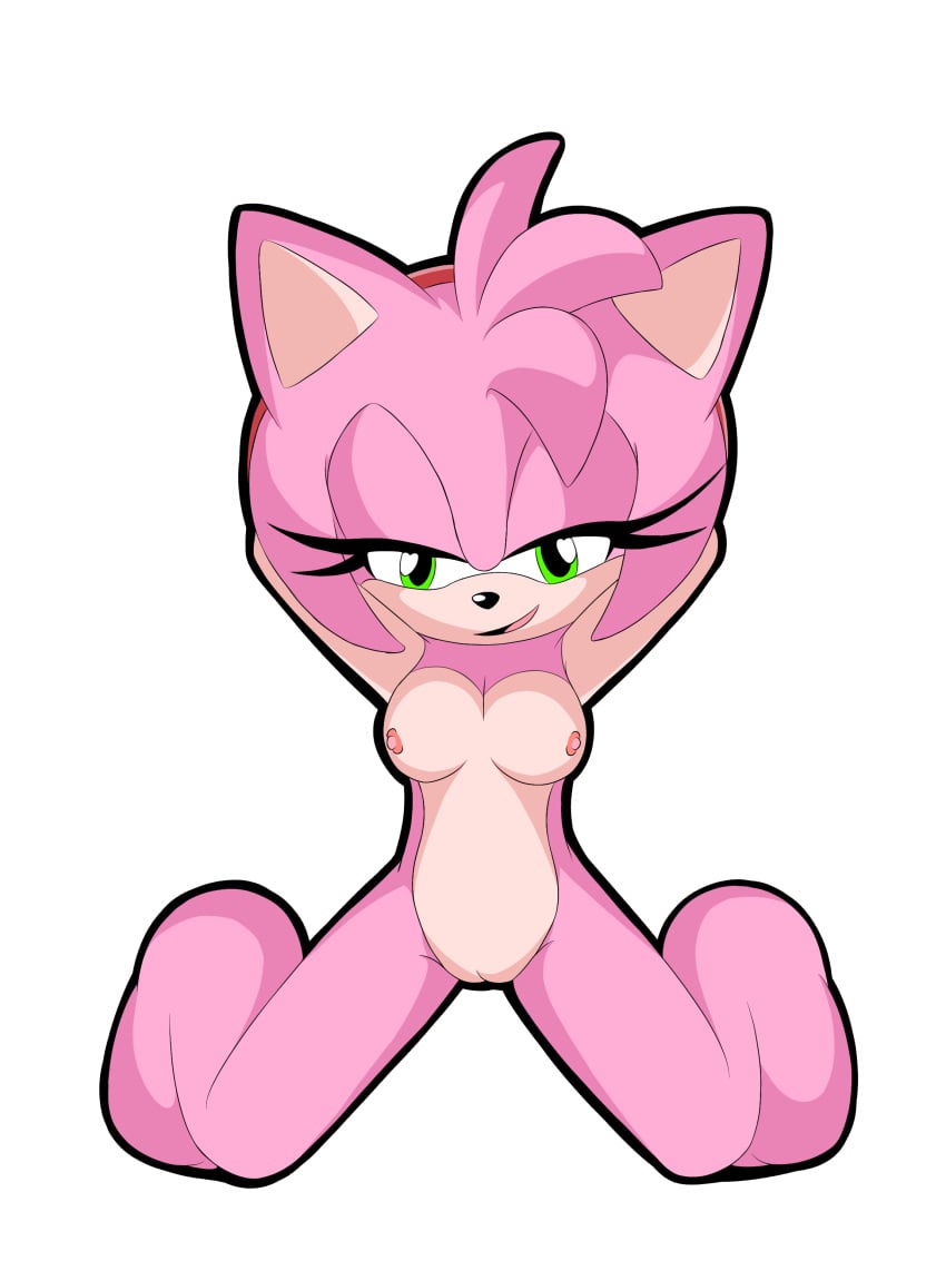 amy_rose j_nsfw sonic_(series) sonic_the_hedgehog_(series)