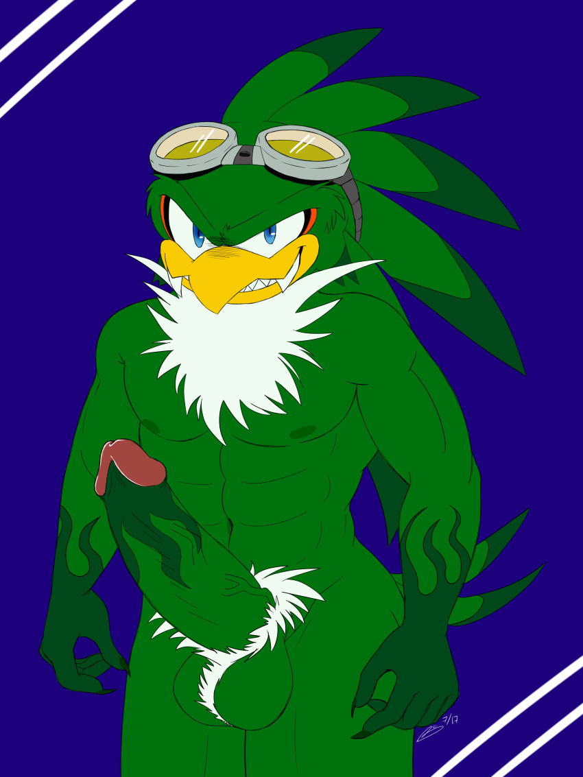 avian balls beak bird bluechika eyewear feathers goggles jet_the_hawk male_only muscular penis solo sonic_(series) sonic_riders werehawk