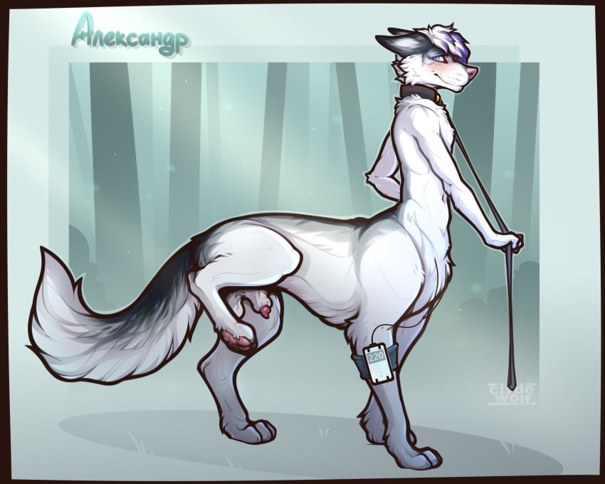 2025 alyx_mcconville_(character) animal_genitalia animal_penis arctic_fox arctic_fox_taur athletic athletic_male athletic_taur balls black_body black_fur blue_eyes blush canid canid_taur canine canine_genitalia canine_penis canine_taur clyde_wolf collar collar_only cyrillic_text digital_media_(artwork) digitigrade dip_dyed_hair fluffy fluffy_tail fox fox_taur fur genitals hair hi_res leash looking_aside looking_at_viewer male mammal mammal_taur multicolored_body multicolored_fur nude pawpads penis penis_tip pink_nose pink_pawpads purple_dip_dye quadruped raised_leg shaded shadow sheath solo tail taur text true_fox white_body white_fur