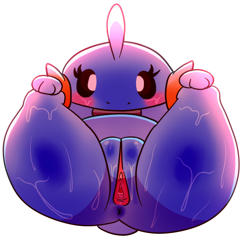 Mudkip (Nintendo) Rule 34 Image