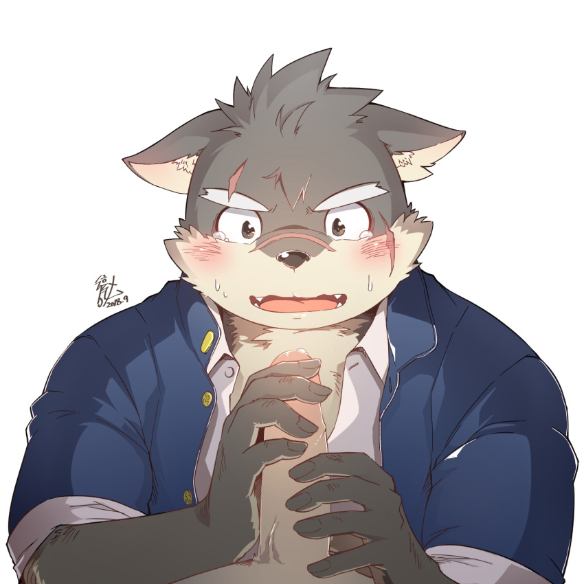 blush canine clothed clothing erection holding_penis humanoid_penis m_ikky male mammal moritaka nervous penis precum scar slightly_chubby tears tokyo_afterschool_summoners yaoi