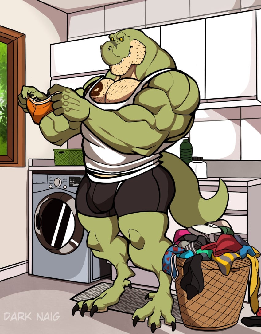 anthro balls bara barazoku bulge clothing darknaigart dinosaur flaccid fully_clothed jace_(darknaig) laundry male male_only muscles muscular penis scalie solo solo_male tyrannosaurid tyrannosaurus tyrannosaurus_rex washing_machine