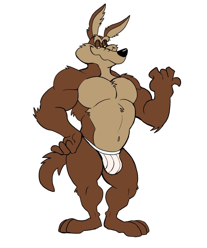 anthro balls bara barazoku bulge darknaigart flaccid furry looney_tunes male male_only muscles muscular penis solo solo_male underwear underwear_only wile_e._coyote