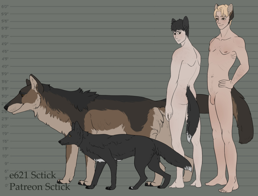 andrew_(sctick) canid canine canis coyote digital_media_(artwork) female feral flaccid foreskin genitals group hi_res humanoid idris_(sctick) male male/female mammal penis sctick standing tail wolf