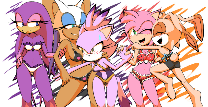 5girls amy_rose anthro ass bat bikini bird blaze_the_cat bloodrike blue_eyes blush breasts cat cleavage cream_the_rabbit female female_only furry green_eyes holding_hands multiple_females open_mouth pink_fur purple_fur rouge_the_bat sega sonic_(series) swallow wave_the_swallow yellow_eyes