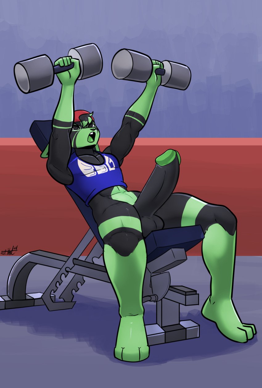 balls bdgym bear213 bench bench_press black_body black_fur dumbells erection exercise fur genitals green_body green_fur gym hi_res inside lagomorph leporid mammal muscular penis rabbit reverse_cap seated_bench_press sitting workout