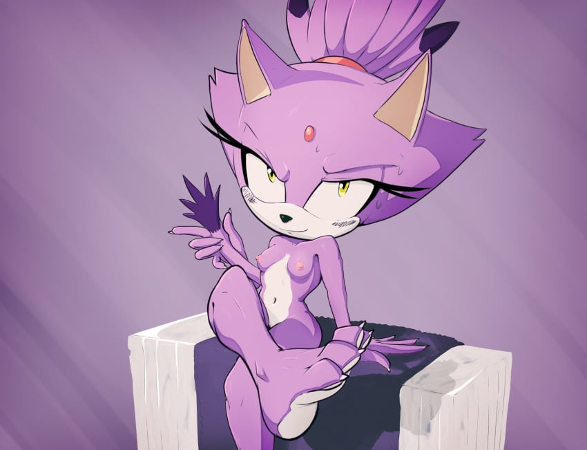 5_fingers anthro blaze_the_cat blush breasts claws domestic_cat feet felid feline felis female fingers hi_res mammal nipples nude purple_body sega smile solo sonic_(series) sonic_the_hedgehog_(series) spikeybluething