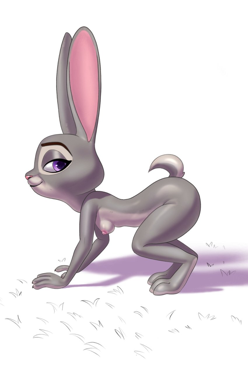 2:3 absurd_res all_fours anthro areola ass athletic athletic_anthro athletic_female breasts disney female fur grey_body grey_fur hi_res judy_hopps lagomorph leporid looking_at_viewer mammal nipples nude pink_nipples pink_nose presenting presenting_hindquarters purple_eyes rabbit scut_tail short_tail shvarno small_breasts solo tail zootopia