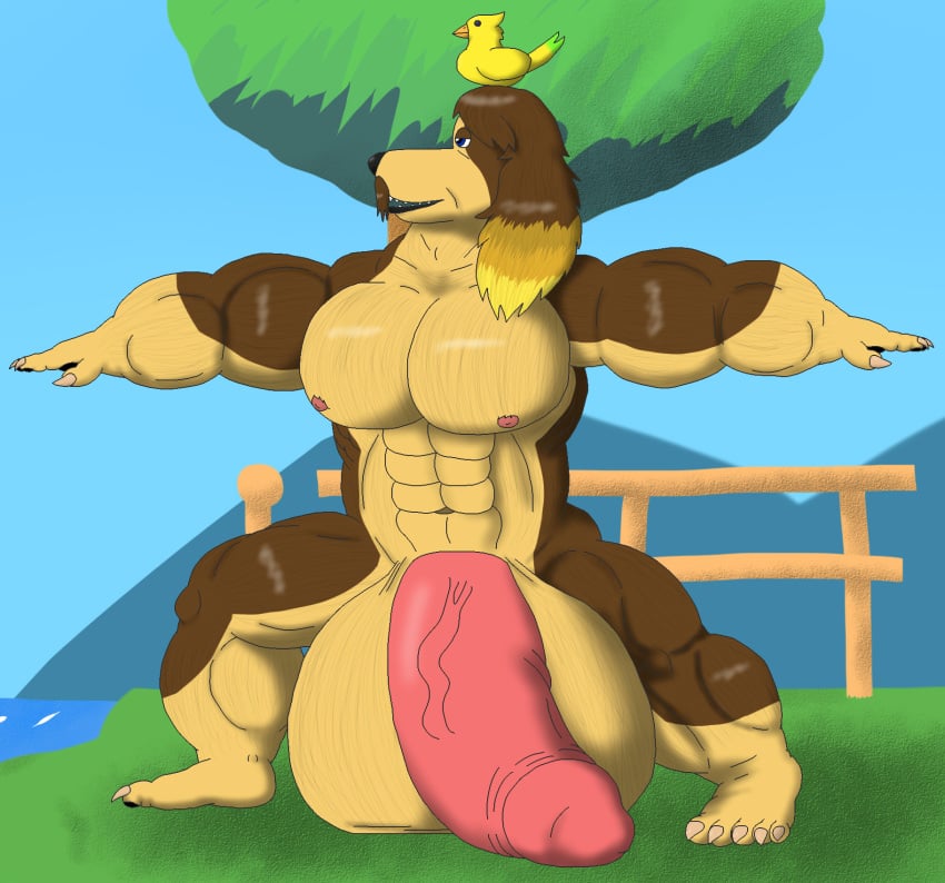 alythewolfcat animal_crossing balls big_balls big_pecs big_penis bird_dog bird_on_head canid canine canis domestic_dog genitals harvey_(animal_crossing) hi_res huge_balls huge_cock hunting_dog hyper hyper_balls hyper_genitalia hyper_penis male mammal muscular muscular_male nintendo nude pecs penis seaside solo solo_male spaniel yoga