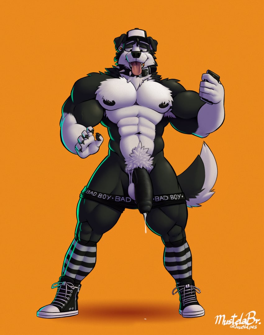 5_fingers abs absurd_res anthro areola armpit_hair balls baseball_cap biceps big_muscles big_penis biped black_body black_fur black_nose black_pawpads black_penis bodily_fluids body_hair border_collie canid canine canis cellphone claws clothed clothing collar collie cum cum_drip digital_media_(artwork) domestic_dog dripping ear_piercing electronics fangs finger_claws fingerpads fingers floppy_ears footwear foreskin fur gauged_ear genital_fluids genitals glans half-erect hat headgear headwear herding_dog hi_res holding_cellphone holding_object holding_phone holding_smartphone humanoid_genitalia humanoid_penis josevulpes male male_anthro mammal multicolored_body multicolored_fur muscular muscular_anthro muscular_male mustelabr navel nipples open_mouth orange_background partially_clothed pastoral_dog pawpads pecs penis phone piercing plantigrade pubes saggy_balls sheepdog shoes signature simple_background smartphone solo spiked_collar spikes teeth tongue tongue_out two_tone_body two_tone_fur underwear underwear_down unretracted_foreskin vein veiny_muscles veiny_penis vinicios_leao white_balls white_body white_fur