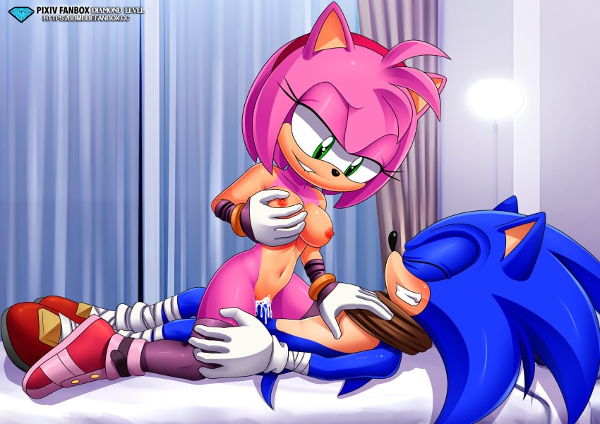 Amy Rose (Boom) Rule 34 Image