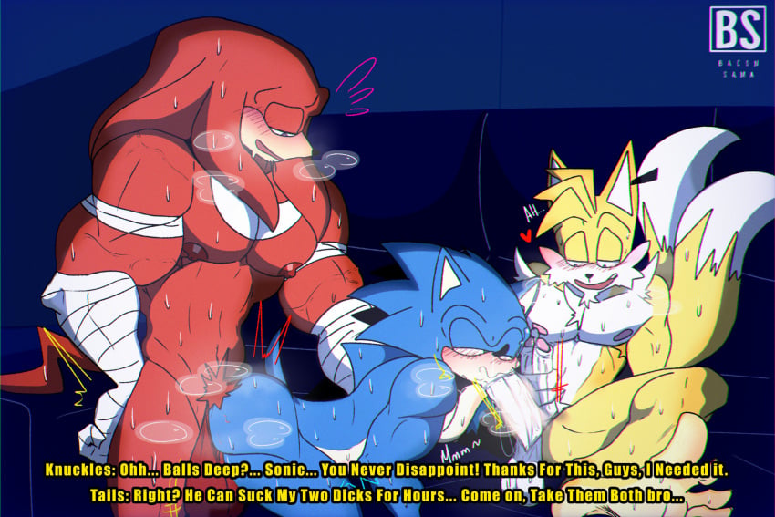 Knuckles The Echidna (Sega) Rule 34 Image