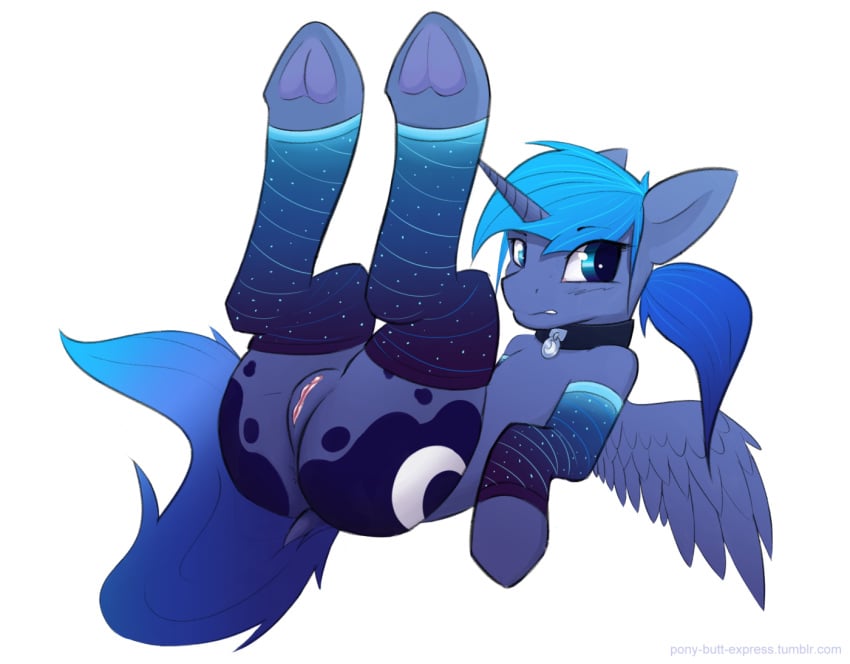 2016 alicorn ass blue_eyes blue_hair blush clothing collar cutie_mark doc equine feathered_wings feathers female feral friendship_is_magic hair hooves horn legs_up legwear looking_at_viewer lying mammal my_little_pony on_back pony-butt-express ponytail princess_luna_(mlp) pussy simple_background solo thigh_highs underhoof white_background wings