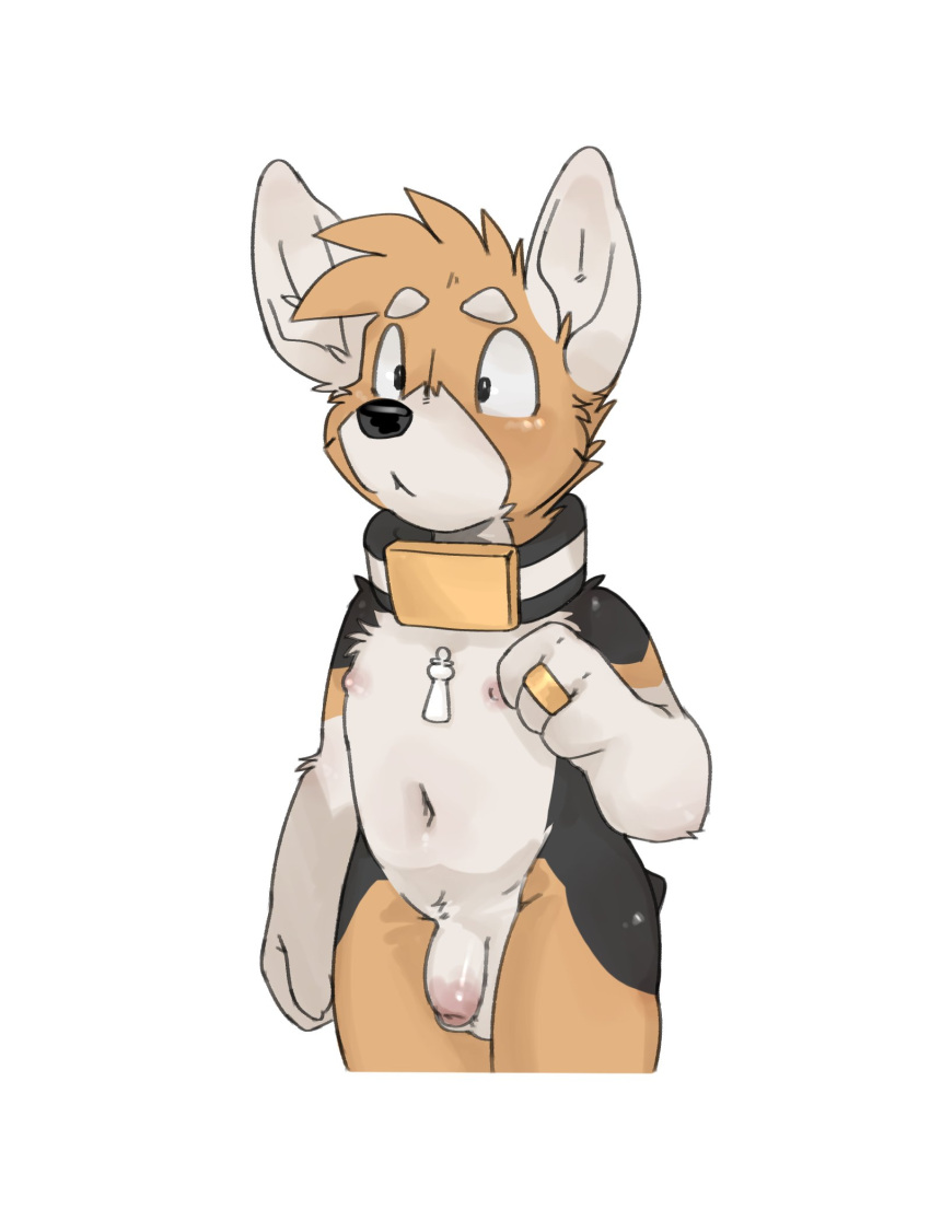 King (Housepets!) Rule 34 Image