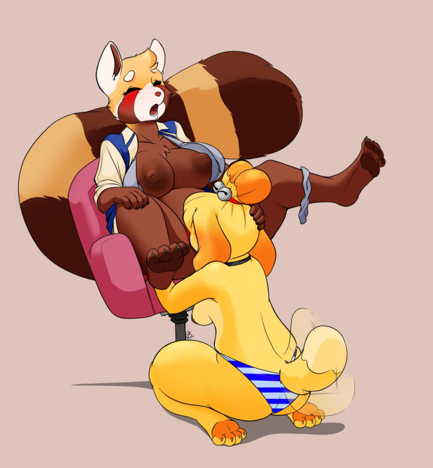 2019 2d aggressive_retsuko ailurid animal_crossing anthro areola belly big_breasts blueberrysnow blush bra breasts canid canine canis chair chubby_female closed_eyes clothed clothed_sex clothing collar cunnilingus digital_media_(artwork) domestic_dog dress_shirt duo female female/female furniture hi_res isabelle_(animal_crossing) mammal nintendo nipples nude office_lady open_mouth oral orgasm_face panties panties_around_one_leg pattern_clothing pattern_underwear red_panda retsuko sanrio sex shih_tzu shirt simple_background slightly_chubby smooth_fur striped_clothing striped_panties striped_underwear stripes tailwag topless topwear toy_dog underwear underwear_around_one_leg vaginal_penetration video_games yuri