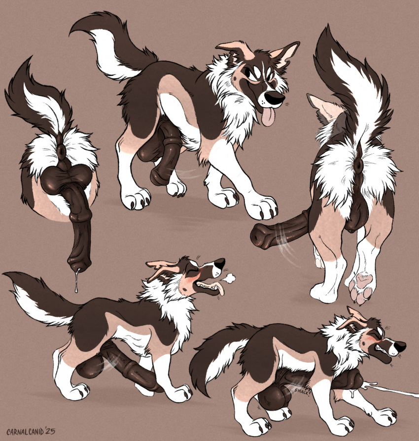 Ribsy (Carnalcanid) Rule 34 Image