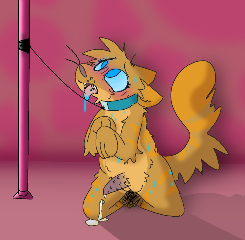 Anthro Rule 34 Image