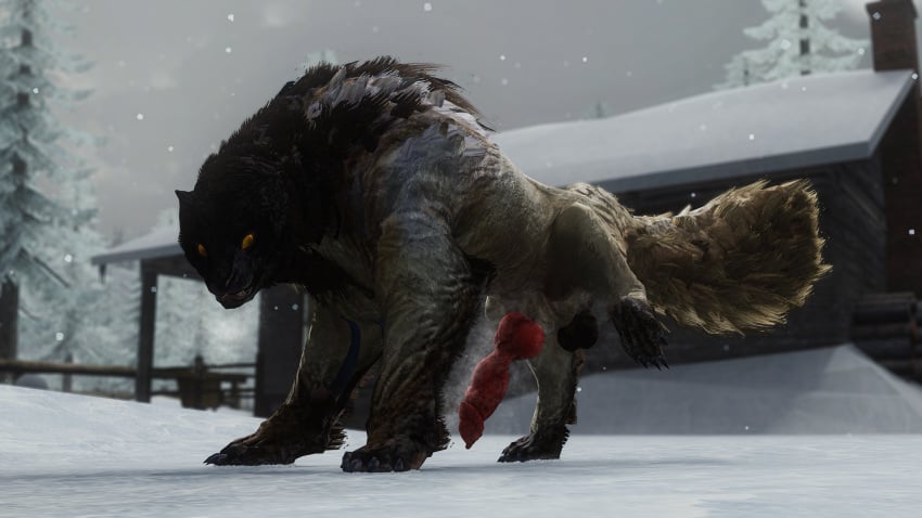 16:9 3d_(artwork) animal_genitalia balls big_penis black_balls black_body black_fur breath cabin capcom claws day detailed_background dewclaw digital_media_(artwork) erection evergreen_tree fanged_wyvern feral fluffy fluffy_tail fur garry's_mod genitals green_eyes hi_res knot knotted_penis looking_at_genitalia looking_at_own_penis looking_at_penis looking_at_self looking_down low-angle_view male monster_hunter musk musk_clouds musky_cock outside penis pine_tree plant quadruped raised_leg sheath snow snowflake snowing solo steam steamy_penis tail thick_fur toe_claws tree vein veiny_penis white_body white_fur widescreen wulg yellow_sclera zdnoz