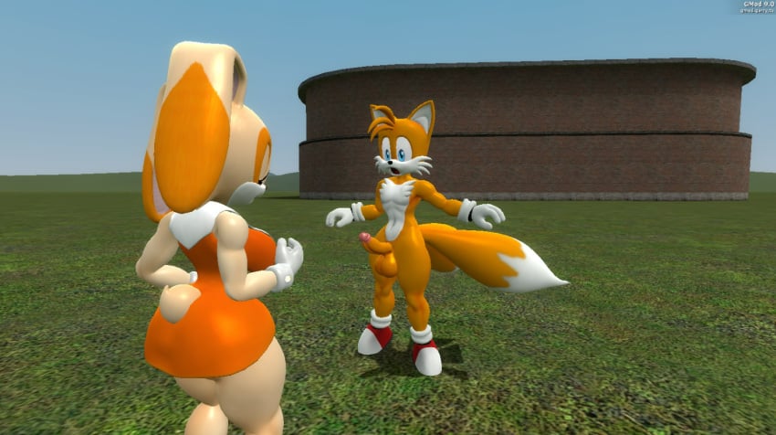 Cream The Rabbit (Garry'S Mod) Rule 34 Image