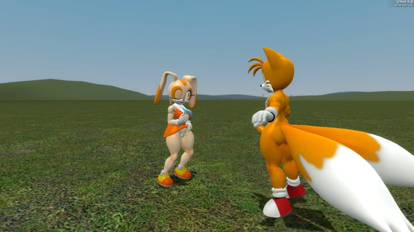 Cream The Rabbit (Garry'S Mod) Rule 34 Image