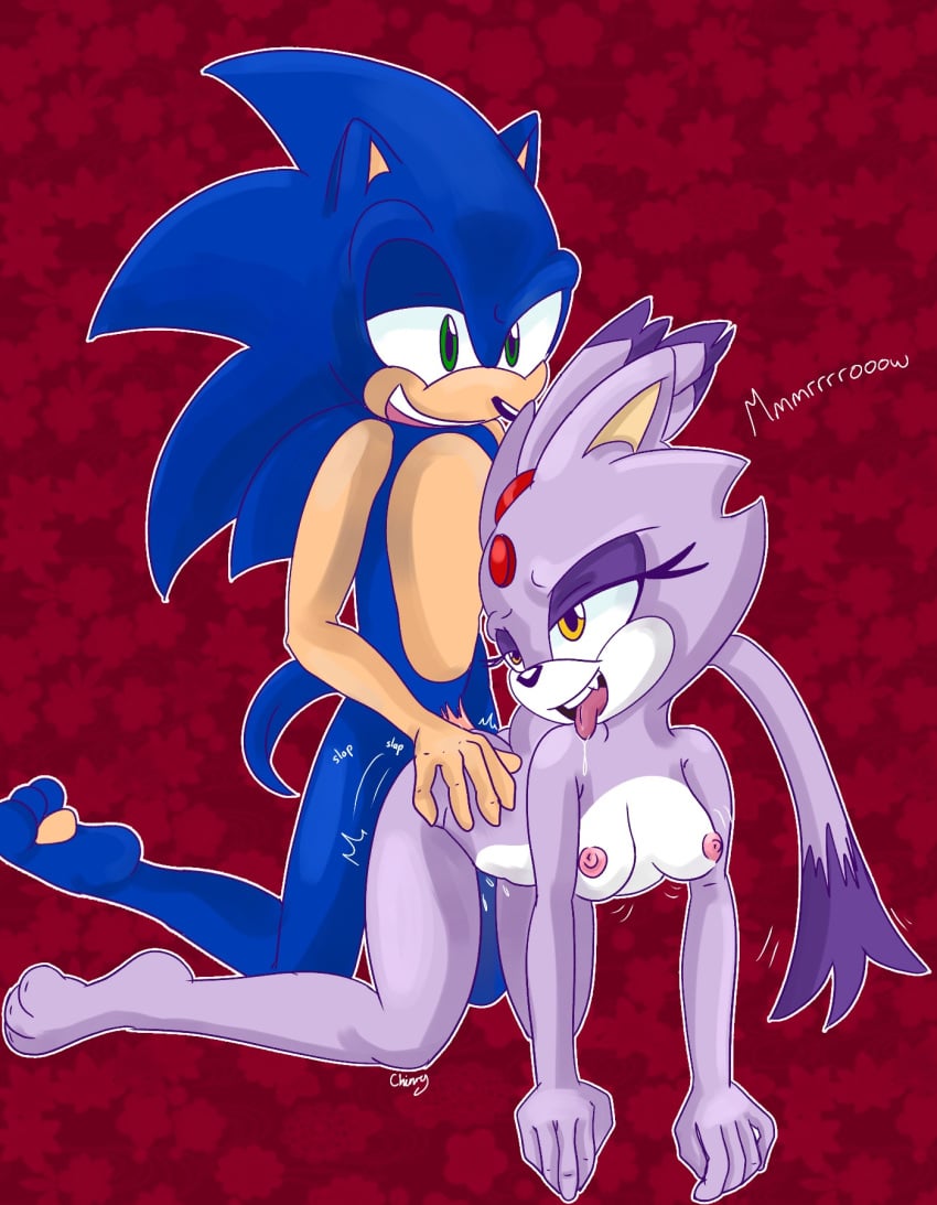 anthro blaze_the_cat bodily_fluids breasts chinry doggy_style domestic_cat drooling duo eulipotyphlan fangs felid feline felis female from_behind_position genitals hand_on_butt hedgehog hero hi_res humanoid male male/female mammal meow motion_lines nude on_kness pawpads penis princess rear_view royalty saliva sega sex small_breasts smile sonic_the_hedgehog sonic_the_hedgehog_(series) teeth