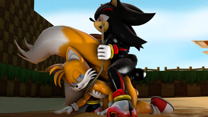 3d anal asmartboy balls bound gay leash penis shadow_the_hedgehog sonic_(series) tails