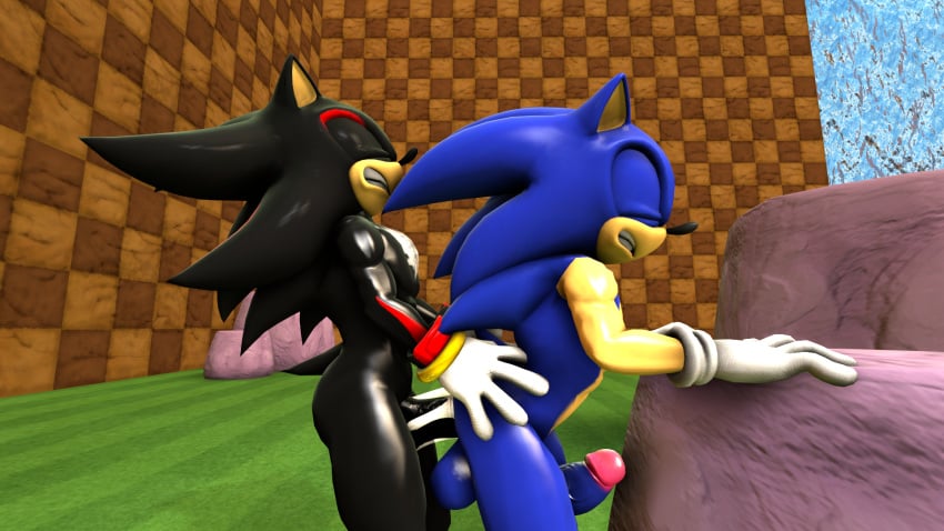 3d anal asmartboy balls blue_fur cum cum_in_ass furry gay hedgehog male mammal penis shadow_the_hedgehog sonic_(series) sonic_the_hedgehog